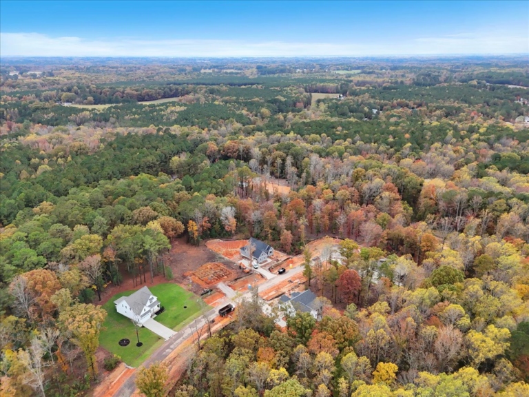 075-Final++Drone+12916+Mallard+Rock+Rd.+Zebulon-RJREM--32