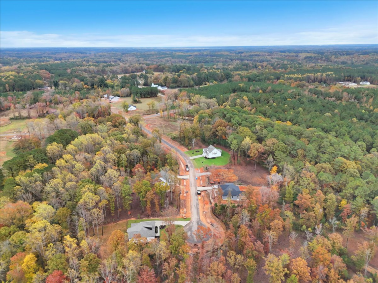 104-Final++Drone+12916+Mallard+Rock+Rd.+Zebulon-RJREM--14