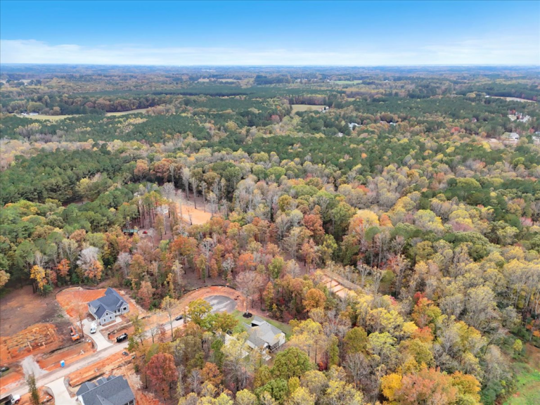 107-Final++Drone+12916+Mallard+Rock+Rd.+Zebulon-RJREM--17