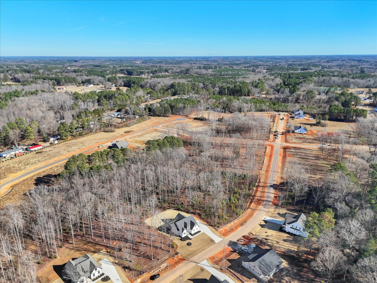 66-Final+Drone+12874+Mallard+Rock+Rd+Zebulon-RJREM--14