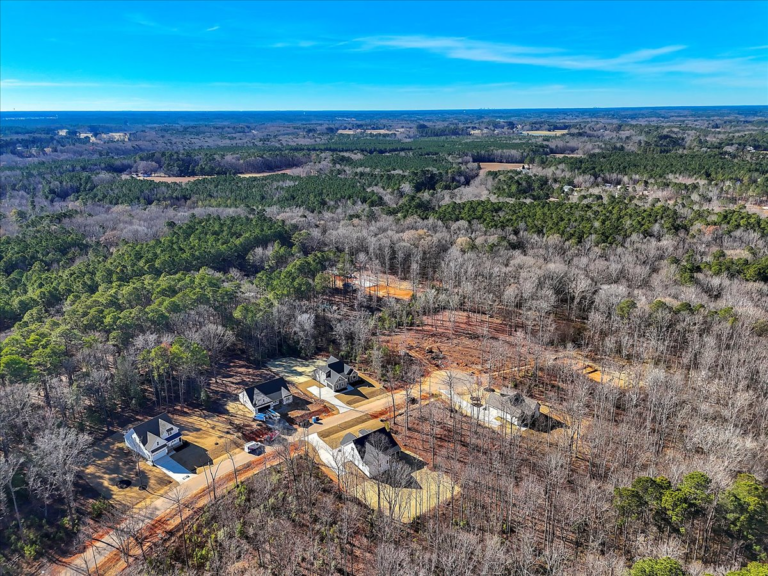 68-Final+Drone+12874+Mallard+Rock+Rd+Zebulon-RJREM--16