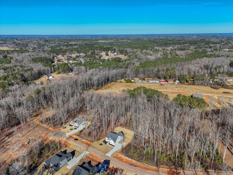 69-Final+Drone+12874+Mallard+Rock+Rd+Zebulon-RJREM--17